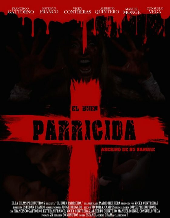 El buen parricida (2015)