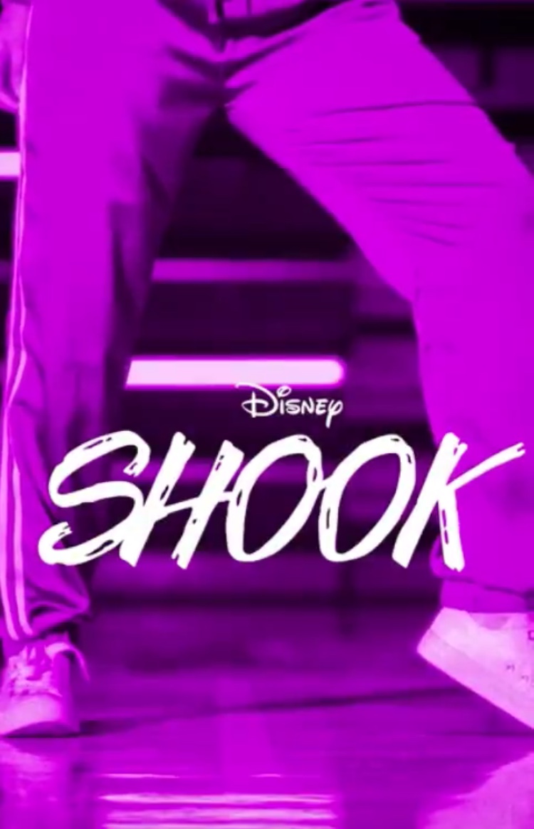 Shook (2019)