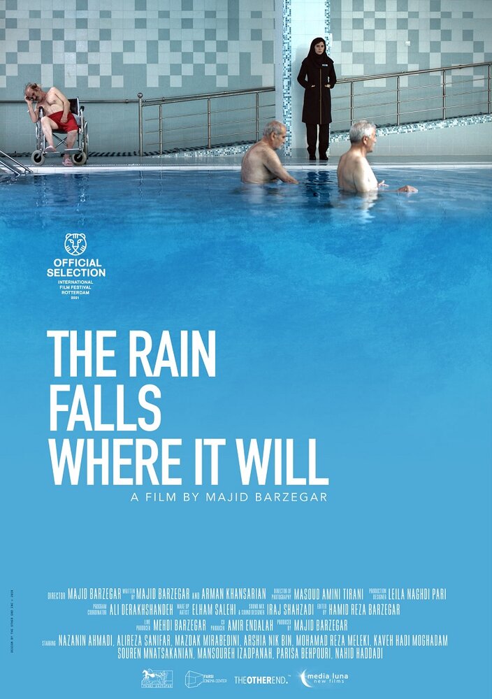 The Rain Falls Where it Will (2020)