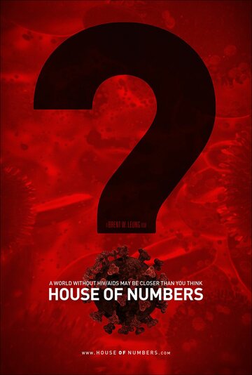 Дом из чисел (2009)