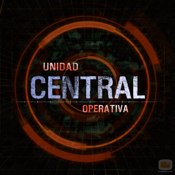 Центральная оперативная группа (2008)