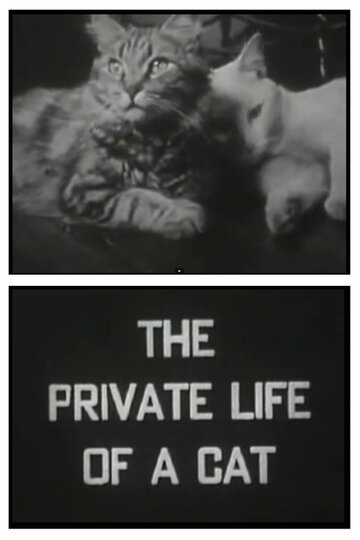 Личная жизнь кота (1944)
