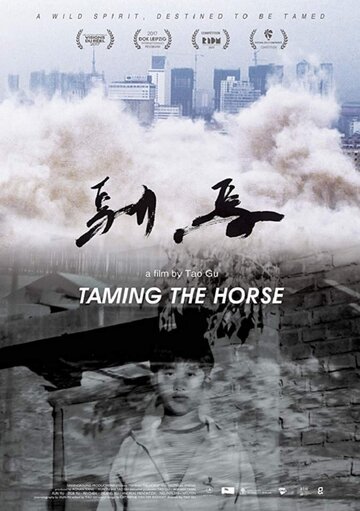 Taming the Horse (2017)
