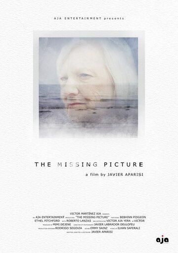 The Missing Picture (2019)