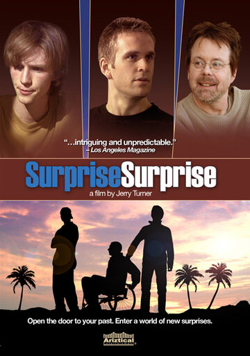 Сюрприз, сюрприз (2010)