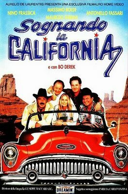 Сновидение в Калифорнии (1992)