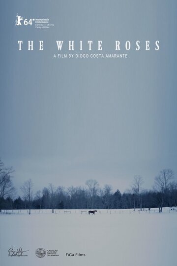 As Rosas Brancas (2014)