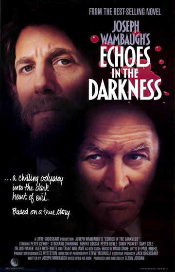 Эхо в темноте (1987)