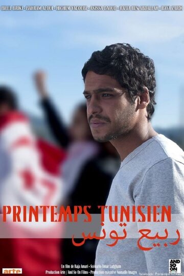 Тунисская весна (2014)