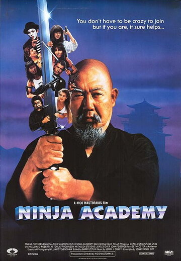 Академия ниндзя (1989)