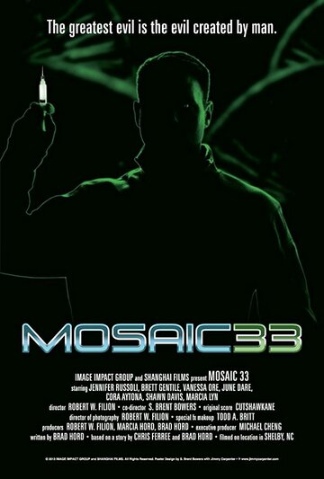 Mosaic 33 (2013)