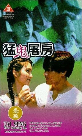 Meng gui tu fang (1995)
