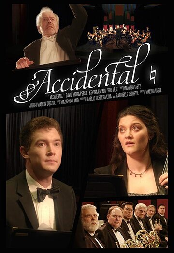 Accidental (2017)