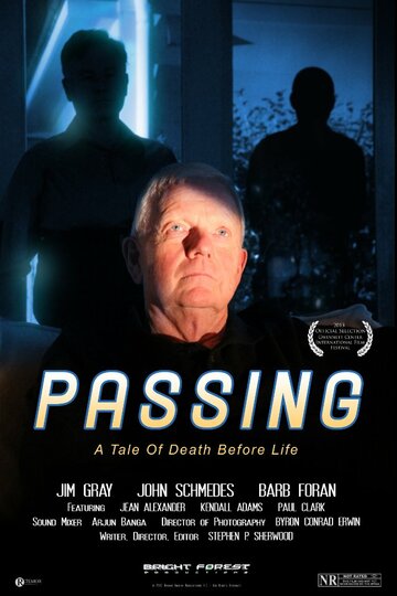 Passing (2013)